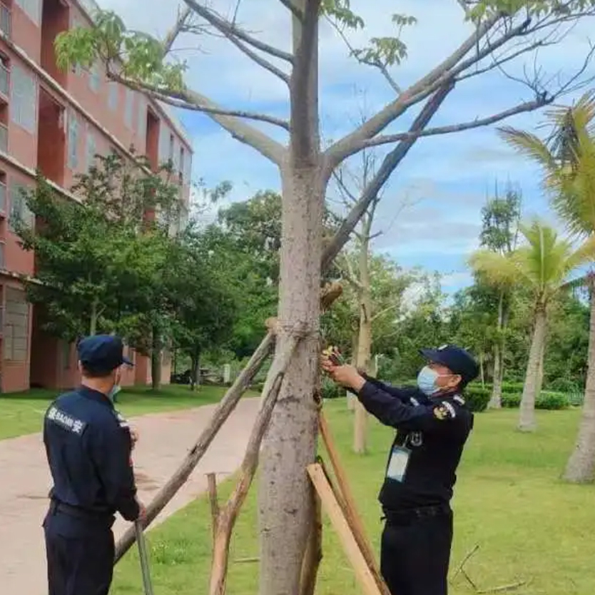 聞“風”而動，全力以“復” | 災后重建，百雀人在行動